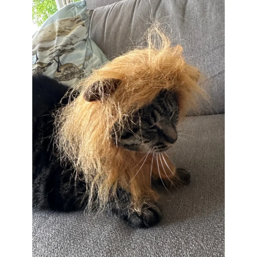 Pet Lion Mane Costume for Cats and Small Dogs Brown Faux Fur Wig with Ears